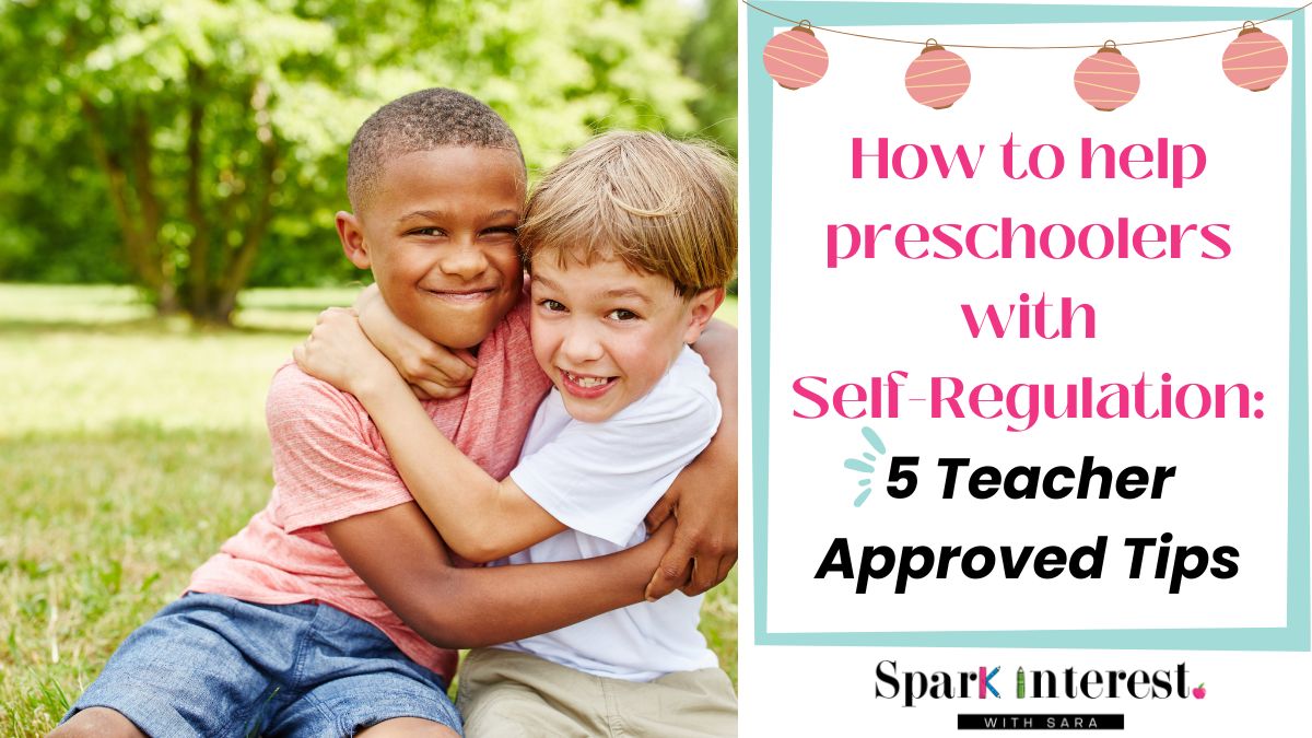 Blog image for how to help preschoolers with self regulation