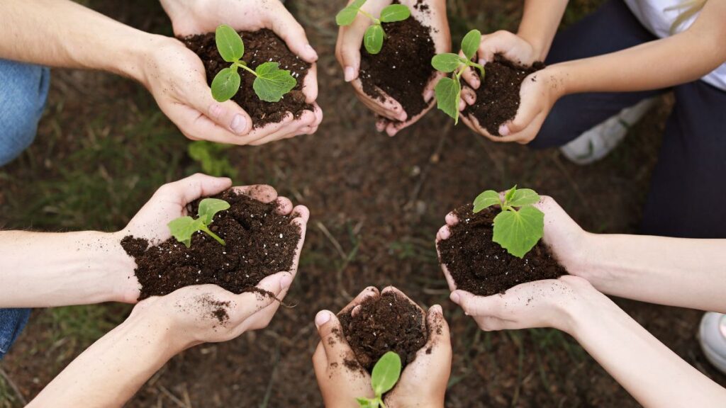 image of kids planting